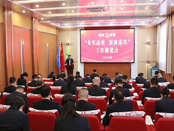 尊龙凯时集团召开“务实高效 狠抓落实”工作推进会